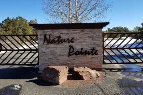 11 Nature Pointe Drive, Tijeras, NM 87059