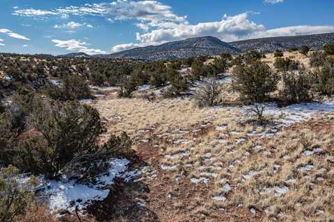 236 North Wild Primrose, Placitas, NM 87043