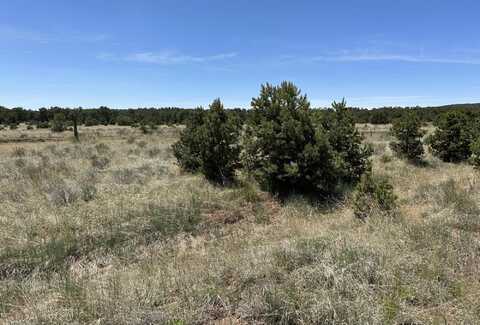 55 Elk Trail, Pie Town, NM 87827