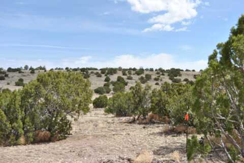 43 Lost Calf Lane, Magdalena, NM 87825