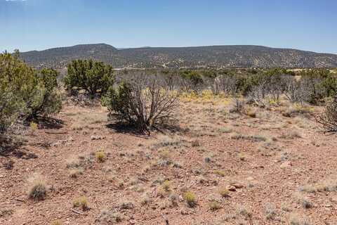 265 Star Meadow Road, Placitas, NM 87043