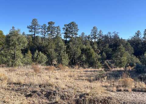 80 Acres Forest Rd 220, Magdalena, NM 87825