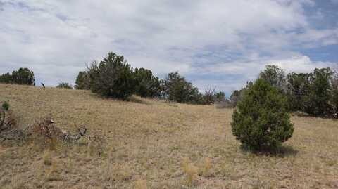 857 Greens Gap Road, Datil, NM 87821