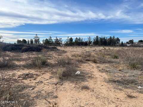 408 McCombs Road, Chaparral, NM 88081