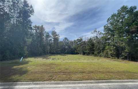 Lot 116 Marsh Oaks Drive, Waverly, GA 31565