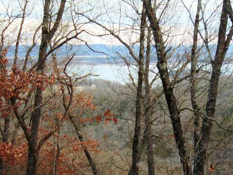 Lot 10 Little Mountain Estates, Reeds Spring, MO 65737