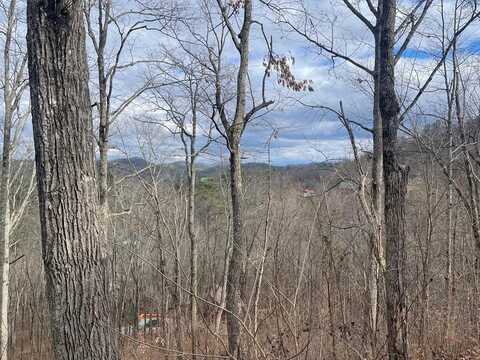 Lot 99 Dolly South Drive, Sevierville, TN 37876