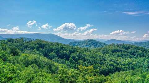 Trace Way, Sevierville, TN 37862