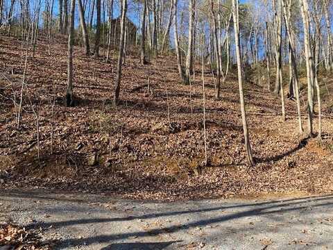 Lot 431 Lilly Court, Sevierville, TN 37876
