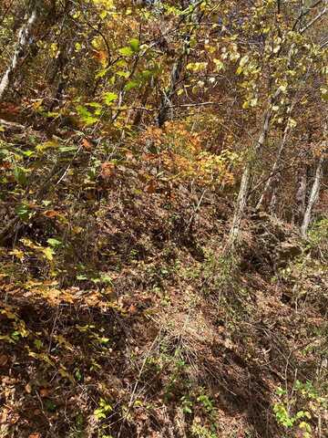 Lot 2 Sec 4a Meadow View Road, Sevierville, TN 37862