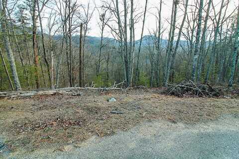 acre portion of Parcel 54 004.00 Overhill Way, Sevierville, TN 37876