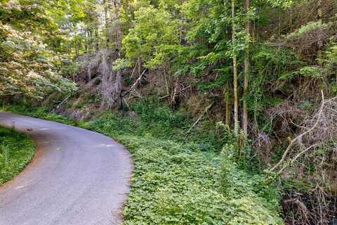 Lot 7 Willow Lane, Sevierville, TN 37862