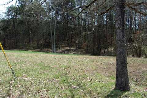 Tract 7 LONESOME PINE Road, Bybee, TN 37714