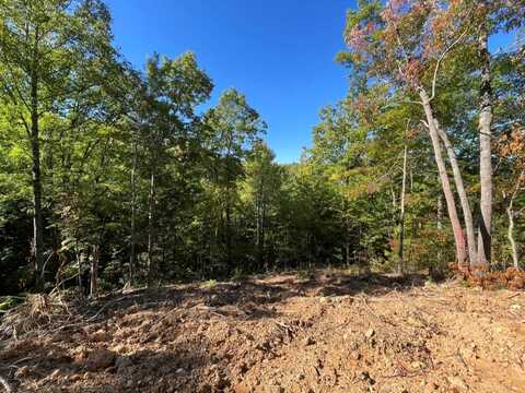 Lot 5 Caney Creek, Pigeon Forge, TN 37863