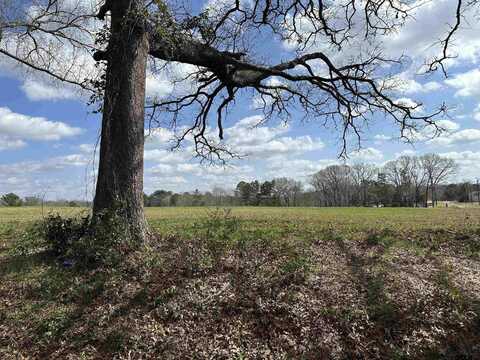 TBD LOT 1 COUNTY ROAD 401, Henderson, TX 75654