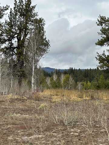 180 River Ranch Road, McCall, ID 83638
