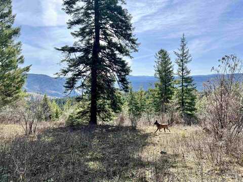 Tbd Cove Road, Grangeville, ID 83530