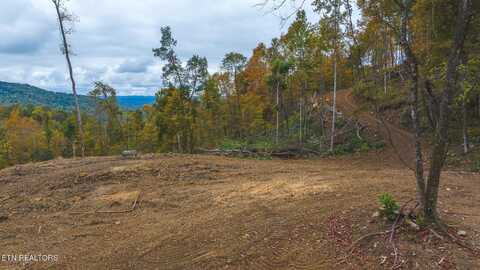Off Panther Creek Rd, Sneedville, TN 37869