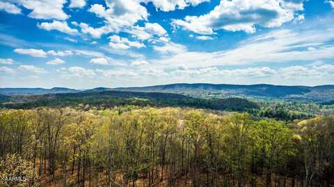 513 Green Ridge Trails (Lot 34), Harriman, TN 37748