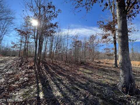 Lot J McCartt Ridge Lane, Deer Lodge, TN 37726