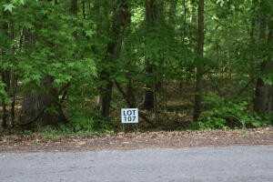 Lot 107 Treasure Tree Rd, Ten Mile, TN 37880