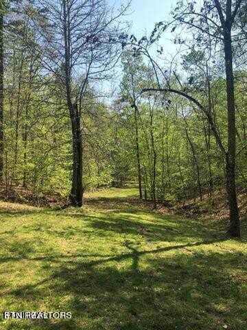 Lot 14 Black Fox Harbor Rd, Washburn, TN 37888