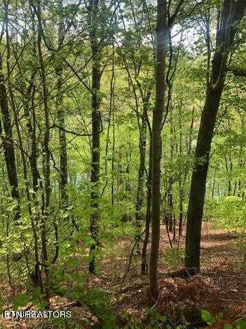 Lot 90 Black Fox Harbor Rd, Washburn, TN 37888