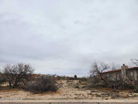 607 Organ Avenue, Elephant Butte, NM 87935