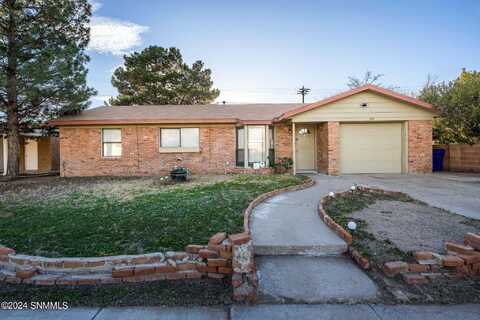 1115 N Mesilla Street, Las Cruces, NM 88005