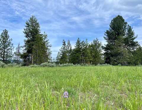 TBD Big Moose Road, McCall, ID 83638