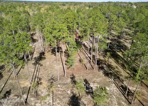 Lot 3 Cowart Holliday Road, Poplarville, MS 39470