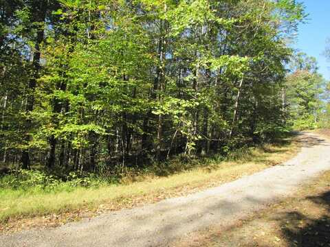 Lot 42 Melmark Acres Trail, Stuart, VA 24171