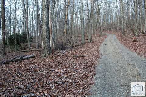 0 Parkway Church Road, Meadows of Dan, VA 24120