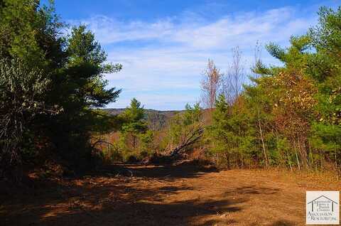 xxx Belcher Mountain Road, Meadows of Dan, VA 24120