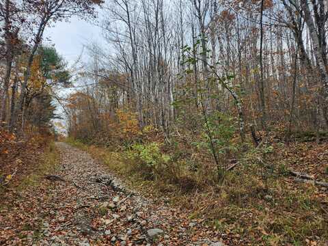 Lot#13-2b Tyler Lane Lane, Frankfort, ME 04438