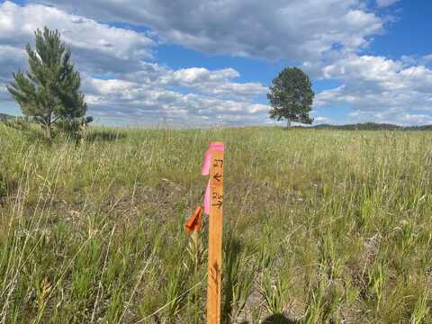 Lot 26, Block 1 Park Avenue, Custer, SD 57730