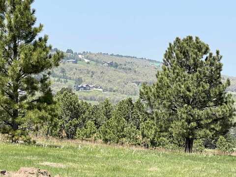 20 Oak Drive, Whitewood, SD 57793