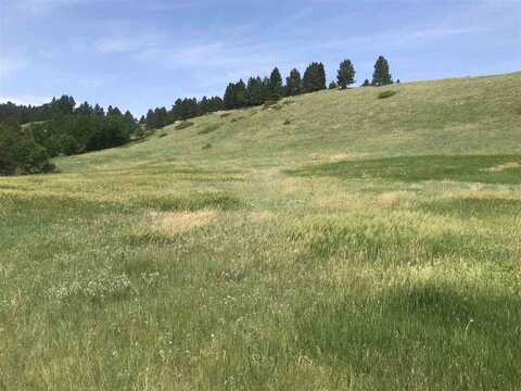 3527 Twisted Oak Road, Sturgis, SD 57785