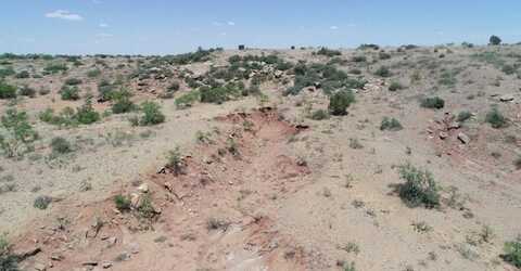 TBD CR 445, Rotan, TX 79546