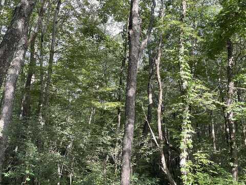 Lot 9 998 Hanlin Road, Bruceton Mills, WV 26525