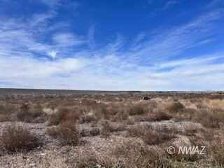 Coyote, Littlefield, AZ 86432