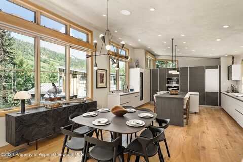 1190 Riverside Drive, Aspen, CO 81611