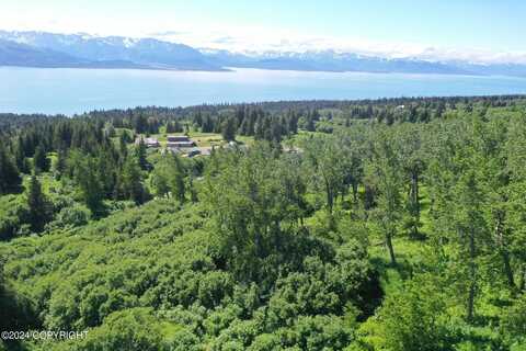 35887 Cloverdale Circle, Homer, AK 99603