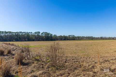 0 County Road 83, Robertsdale, AL 36567