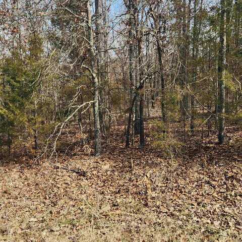 L10 B02 Awi Trail, Cherokee Village, AR 72529