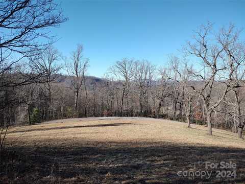 0 Vineyard Hill Drive, Fletcher, NC 28732