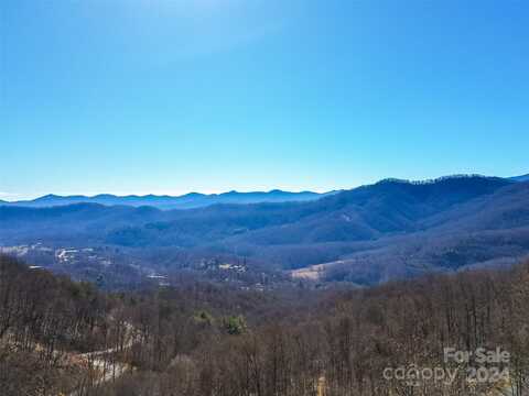 99999 Summit View Drive, Candler, NC 28715