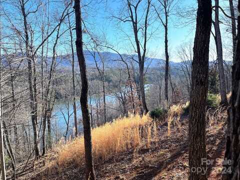 Mountain Parkway lot: 30, Mill Spring, NC 28756