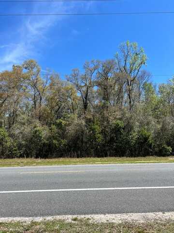 00 Lot 6 Hwy 349, Old Town, FL 32680