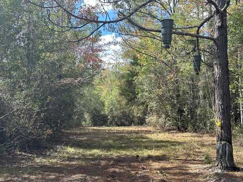 Parcel A Lacey Lane, Crestview, FL 32536